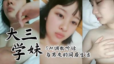 午夜男人网站-免费在线观看av片